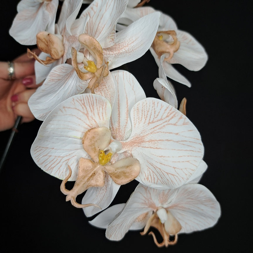 Premium Artificial Phalaenopsis Stem - White/Terracotta