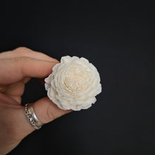 Load image into Gallery viewer, Sola Flower head - 4cm Pompom Dahlia
