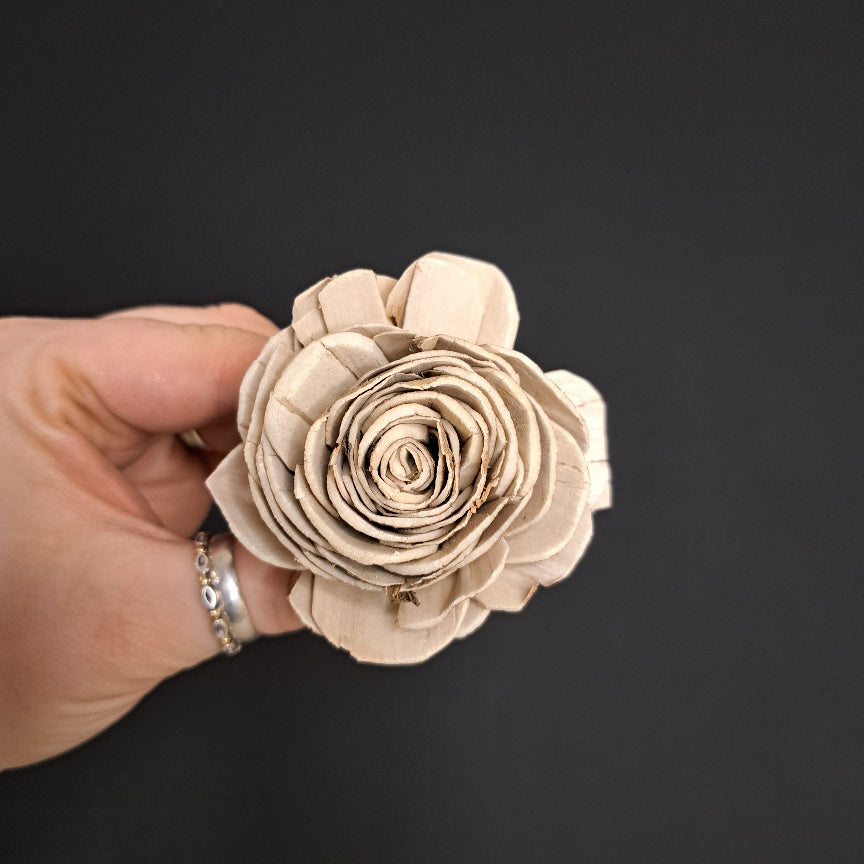 Sola Flower head - 6cm Bark Rose