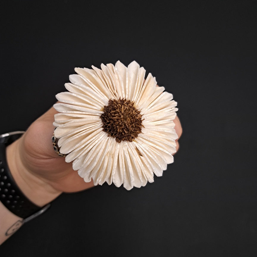 Sola Flower head - 6cm Gerbera