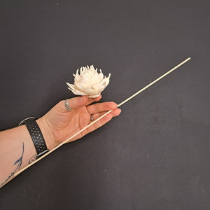 Sola Flower head - 8cm Lotus