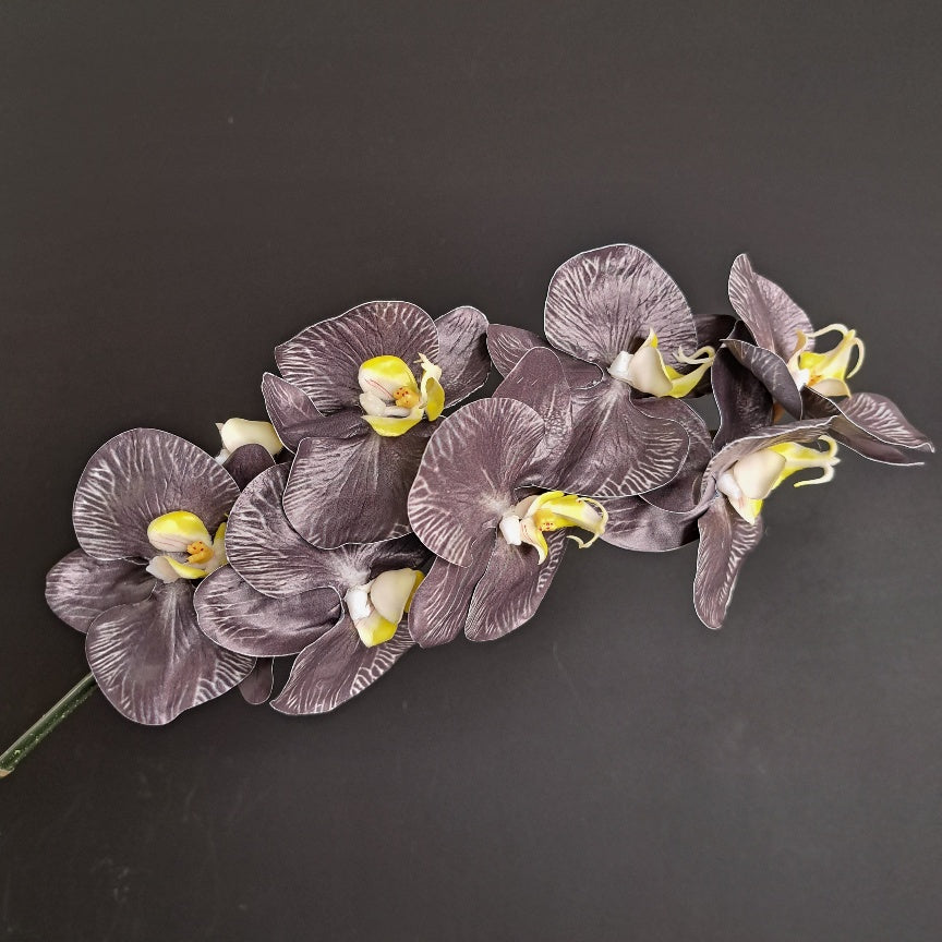 Premium Artificial Phalaenopsis Stem - Black with yellow lip