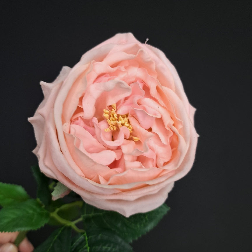 Premium Artificial Garden Rose - Pink
