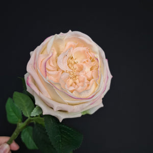 Premium Artificial Garden Rose - Peachy Pink