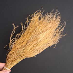Feather Grass Brown