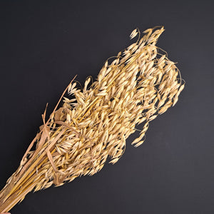 Cultivated Oat Grass-NZ Natural