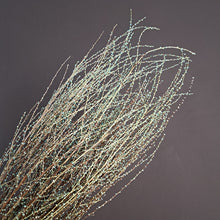 Load image into Gallery viewer, Fontansia Teal
