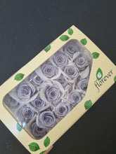 Load image into Gallery viewer, Piccola Blossom Rose Heads - Silky Grey
