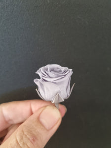 Piccola Blossom Rose Heads - Silky Grey
