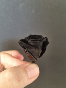 Piccola Blossom Rose Heads - Midnight Black