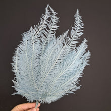 Load image into Gallery viewer, Mini Fern  Blue
