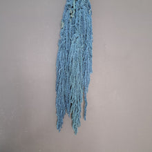 Load image into Gallery viewer, Amaranthus Dark Blue
