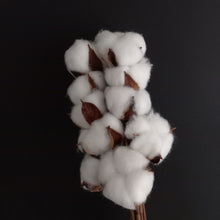 Load image into Gallery viewer, Cotton Bunches White
