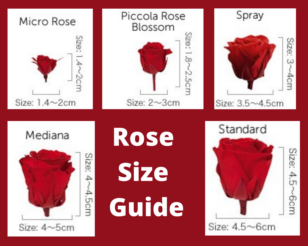 Rose Head Size Guide