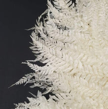 Load image into Gallery viewer, Mountain Fern Bleached
